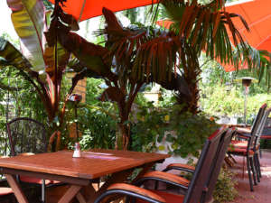 Unsere Terrasse